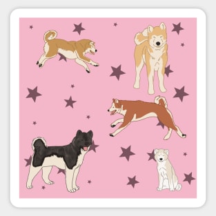 Pink Akitas and Stars Sticker